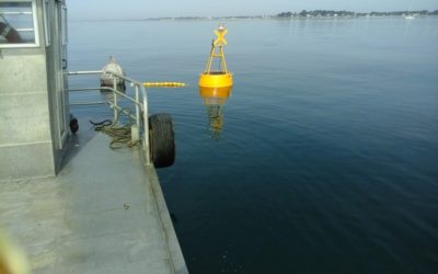 Conchyliculture : Une meilleure surveillance de la qualité de l’eau grâce à la sonde multiparamètre SAMBAT